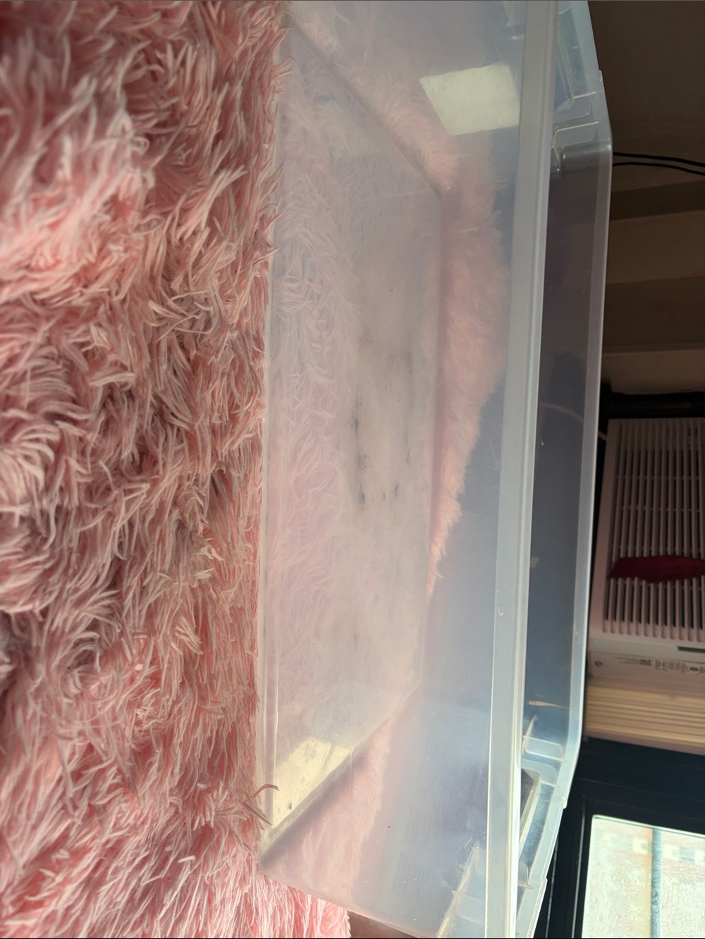Clear Plastic Storage Bin - Transparent Organizer